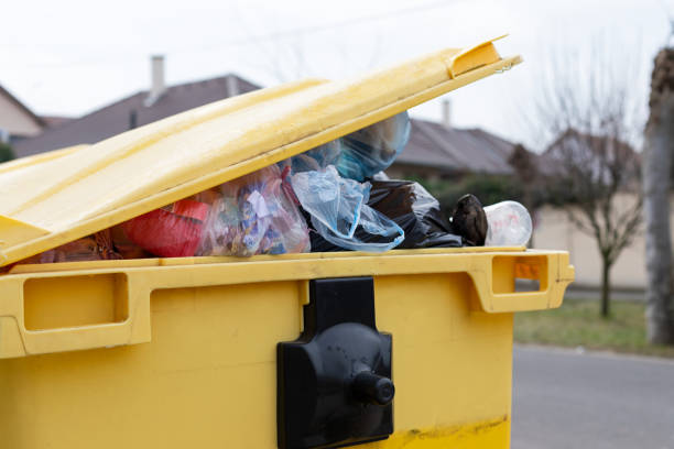 Same-Day Junk Removal Services in Mammoth Lakes, CA